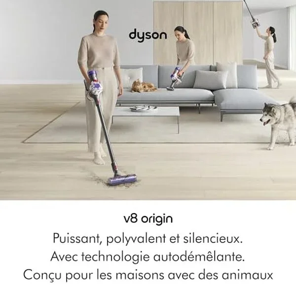 Обзор беспроводного пылесоса Dyson V8 Origin: мощность и автономность